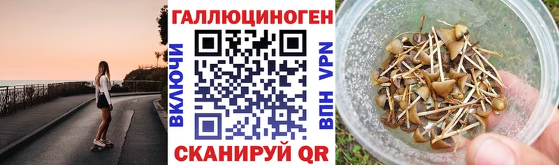 darknet официальный сайт  Плавск  Псилоцибиновые грибы Cubensis 
